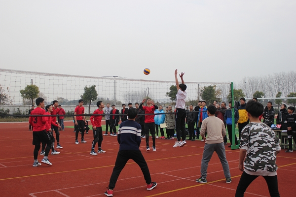 2017年邗江区中小学生排球比赛圆满结束