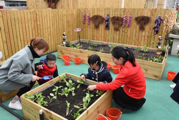 晓庄学院实验幼儿园恒山路园打造"生态课程"